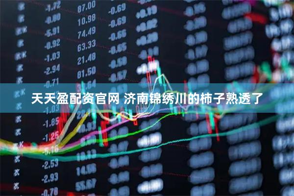 天天盈配资官网 济南锦绣川的柿子熟透了