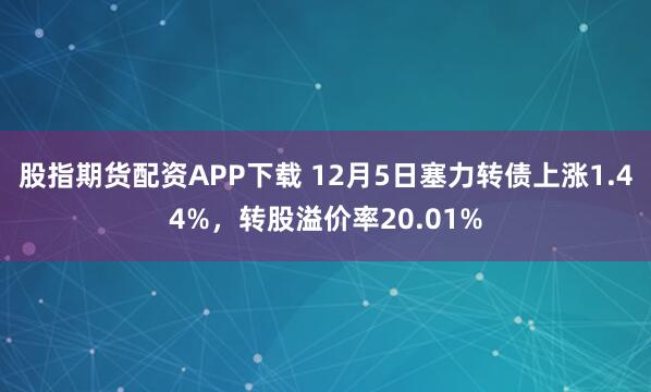 股指期货配资APP下载 12月5日塞力转债上涨1.44%，转股溢价率20.01%