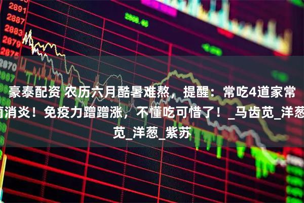 豪泰配资 农历六月酷暑难熬，提醒：常吃4道家常菜抗菌消炎！免疫力蹭蹭涨，不懂吃可惜了！_马齿苋_洋葱_紫苏