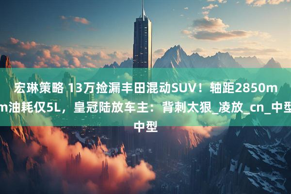 宏琳策略 13万捡漏丰田混动SUV！轴距2850mm油耗仅5L，皇冠陆放车主：背刺太狠_凌放_cn_中型